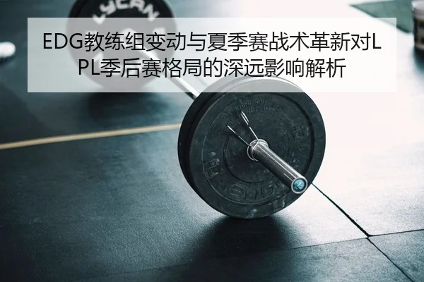 EDG教练组变动与夏季赛战术革新对LPL季后赛格局的深远影响解析
